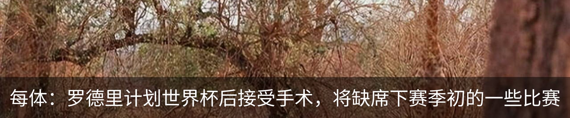 最新动态