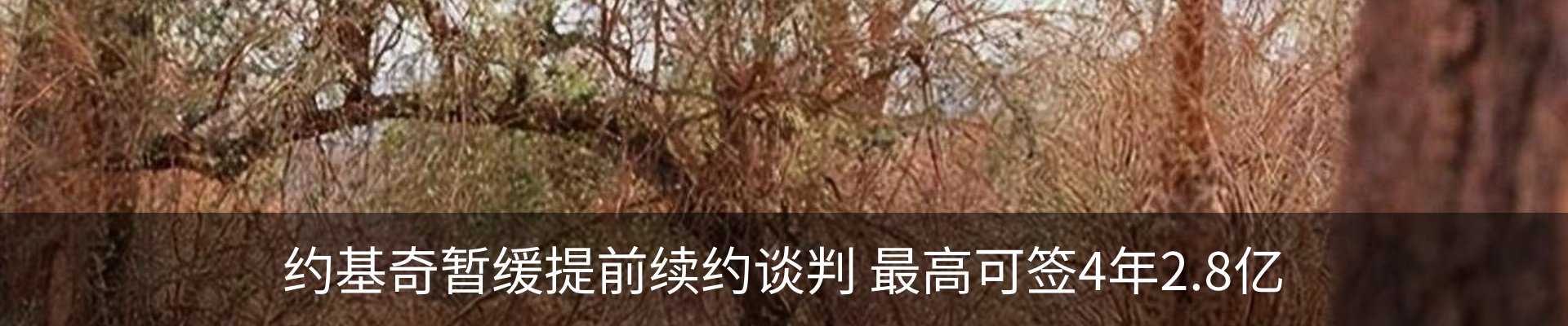 最新动态